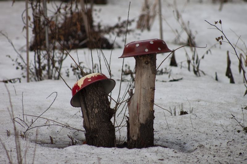 ����� ����������� ������� ��������� �� -12C, �� ����� ���-���� �������� ���� � �������