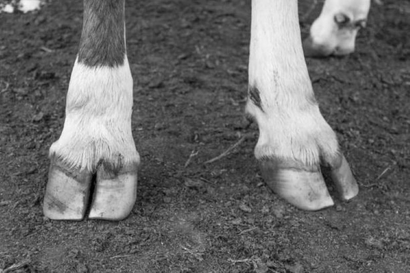 ������ ������� ���������� ���� ����� � ������� �������