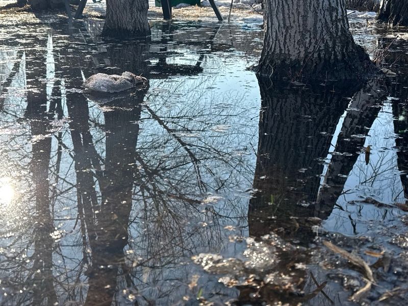 ��������� ����� �������� � ��������� ������� � ������� �������