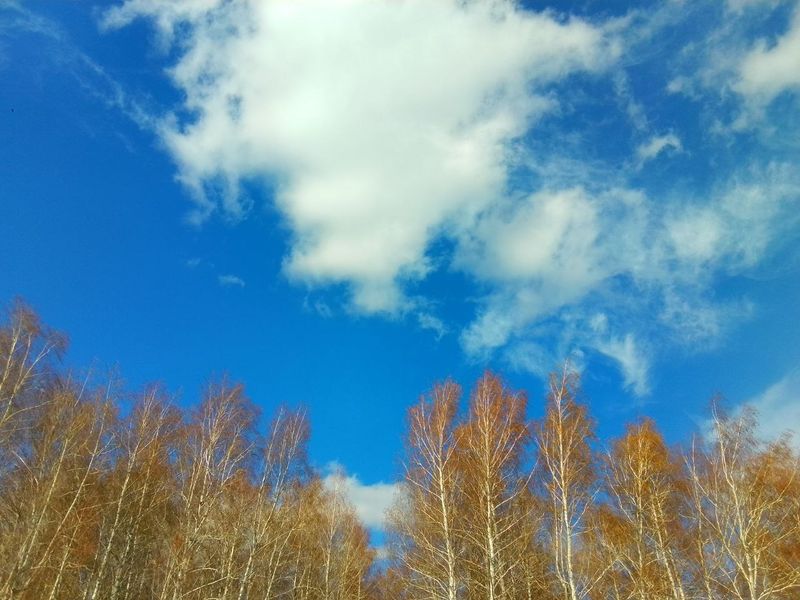 ���� ������ ����� �����: ��������� ������������ ���� � ����� ����� �������� ����� �� �����