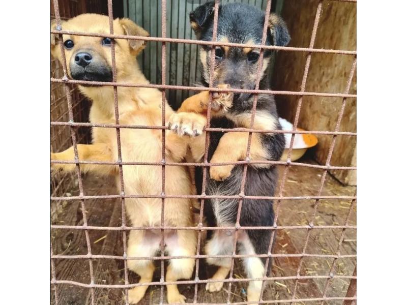 ��������� ����-��� � �������: ����� 40 ������ � ���������� ������ ���� ����� ������