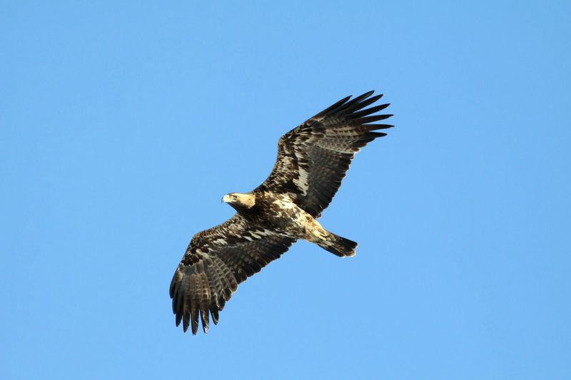 ������ ������� ������ ������� ��������� ����� - � ����� ������ �� ����� �����