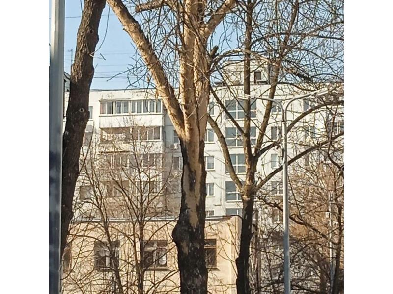 ������ ��������� ������� ��������� ����������� ����������� � ������-����������