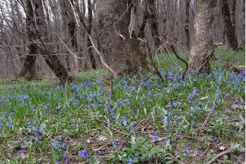 �� ��������� ������ ������� ����� ����� � ������ - �� ���� ��������, ������� ������ ����� �����