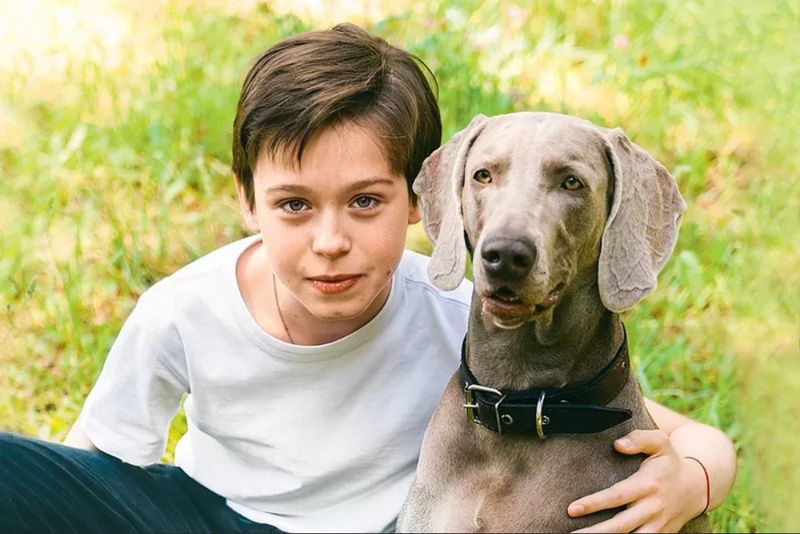 ������� ������� ���������� ��������� ���������� ����� � ��������� ����� ������