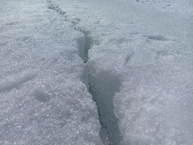 ��� ���������� ������ ����������� ��� ��� �������� �� ������ � ���������