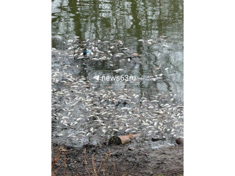 � ��������� ������� ����� ������������ � ������� ��������� ����