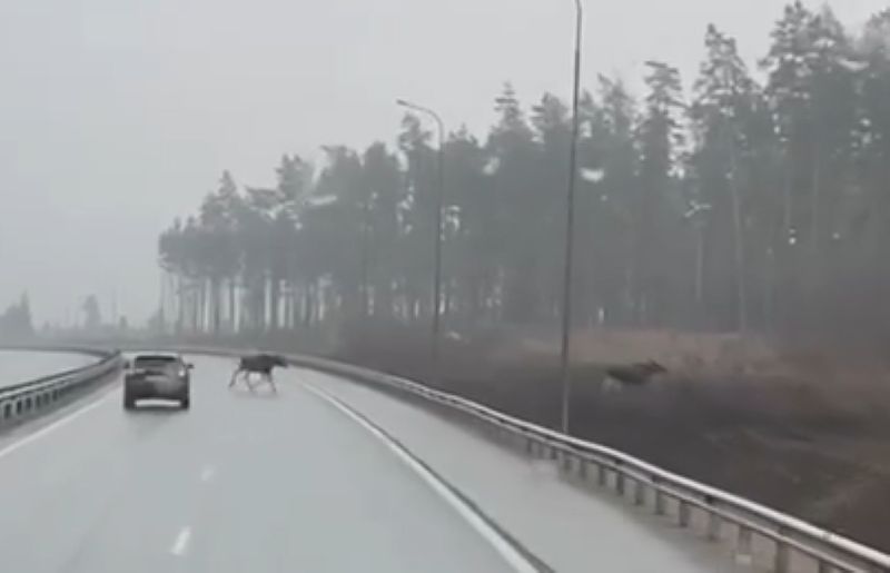 �� ��������: �� ������ ������ �������� �� ������ ���������� �������� ����