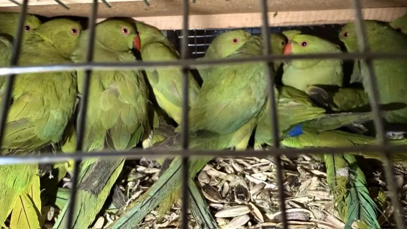 ��������� ������� ���������� ������� � �������� ������������