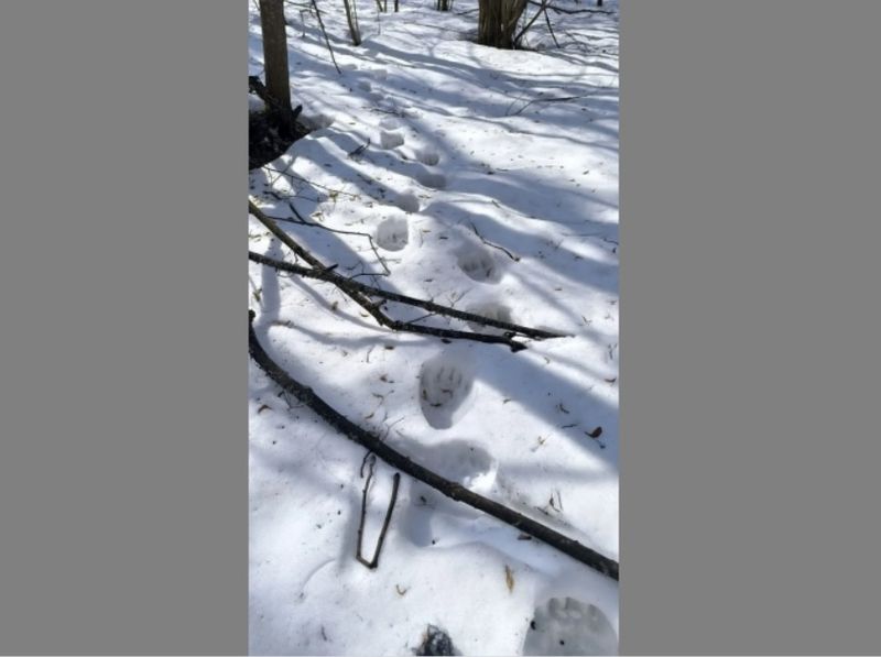 � ���� ��������� ������� � ����� ��������� �� �����