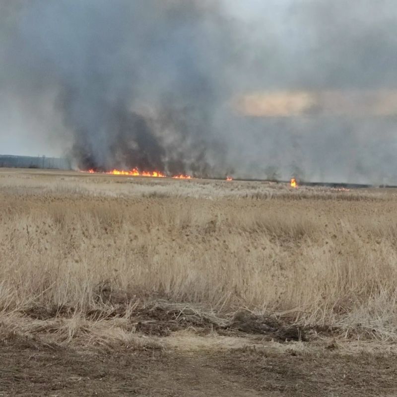 � ���������� ������ 3 ���� ������ ������� ��������� �����