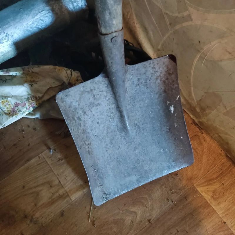 � �������� � 55 �� �� ������� �������� �������� ������� �������� �������