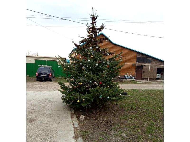 � ������� ���������� ���� ������� ����� ��������� �� �������� - � ��� �� �����