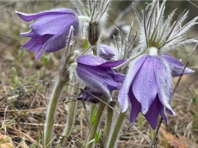 ���������� �� ������� �������� ������������ �����: ������� - ��������� ������� ������