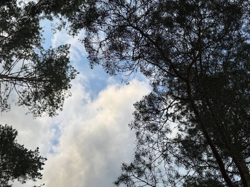 ������ ���� �������� ��������-������ ����� - ��� ������ ������ � ���������� � ��������