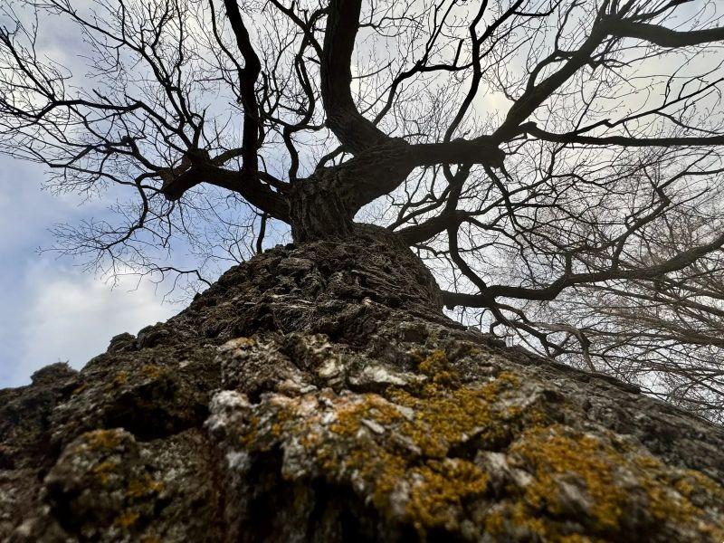 ������� ������ ������� �������� � ����� ������ �������