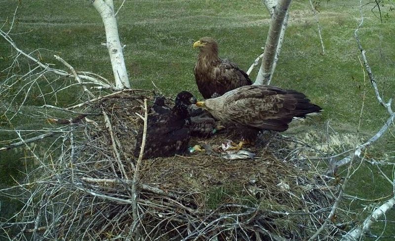 � ��������� ������� ��������� �������� ����� �� ����� ��������