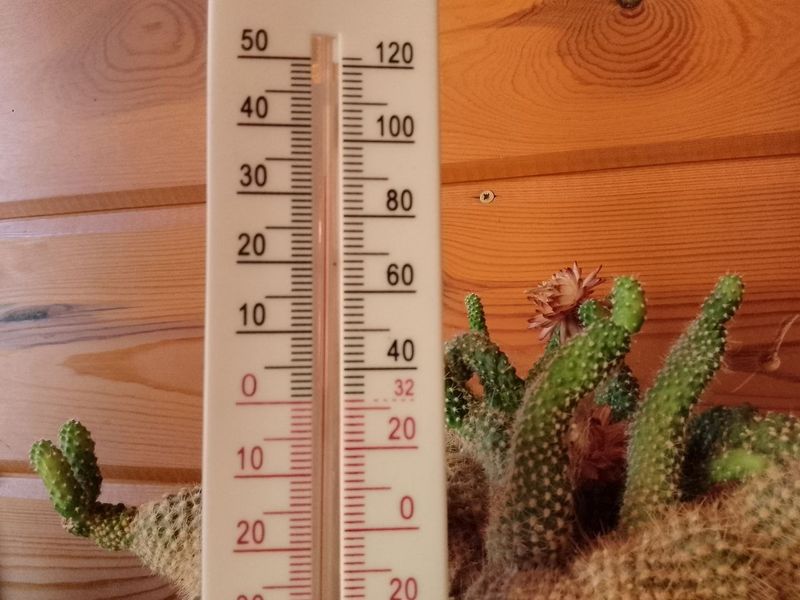 �� ���� 31 �� ���� 7 �������� - ������ � ��������� ������� ���������
