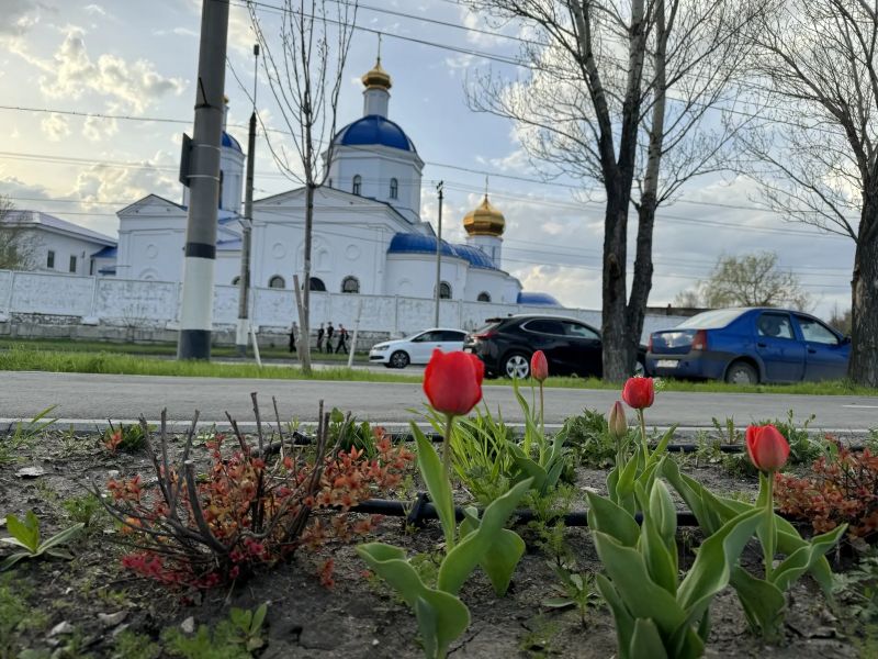 �����, �������� � ������� � ��������� ������� ����������� ��������� �����������, ������, ������������ � ���������� ���