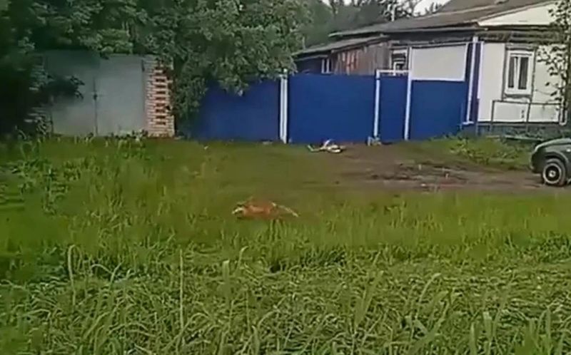 ���� ������ ����������: � 70 �� �� ������� ���� ����� ��� ���������� ����� �������� �������