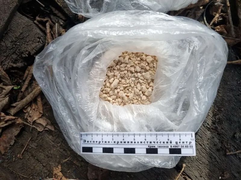 ������ ������� ������ ����������� ���� - �� ���� ������ ���������