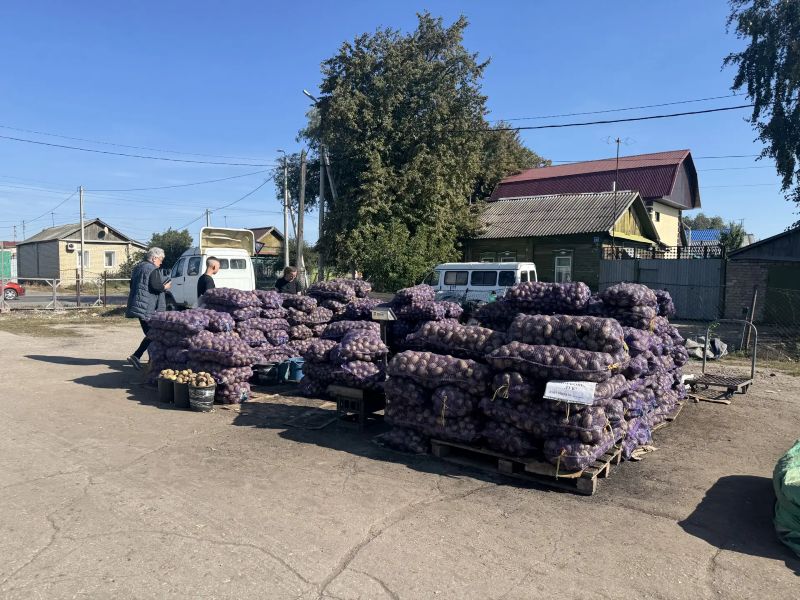 ����� �������� �����: �� ������ ������� ���� �������� �������� ������� ����������