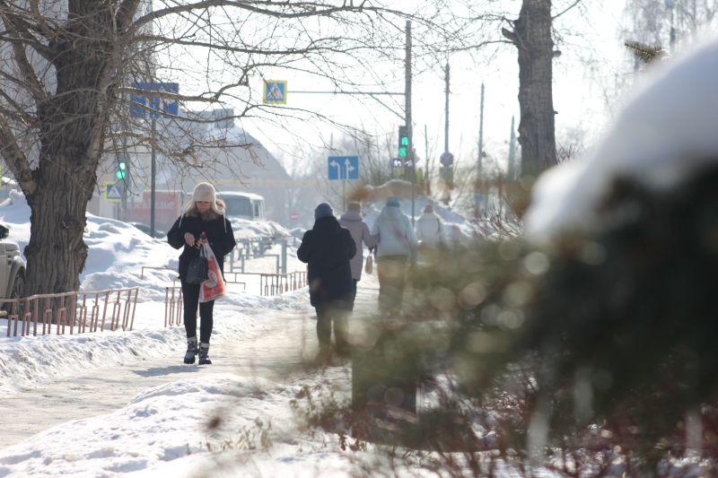 ���������� ������ ����: ������� ��� ���������� � 14 �������